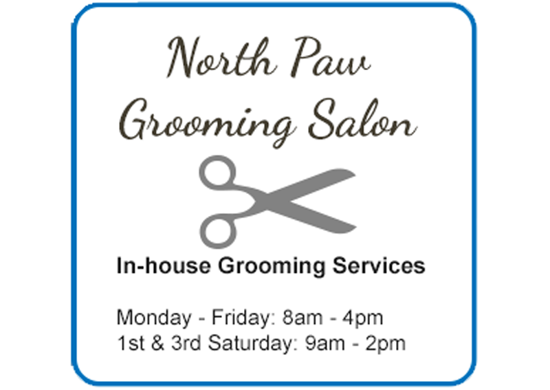 Carousel Slide 6: Learn more about our grooming services